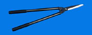 Ŵ